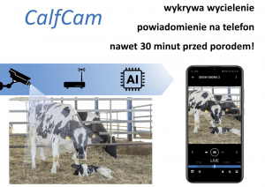 CalfCam CalfCam