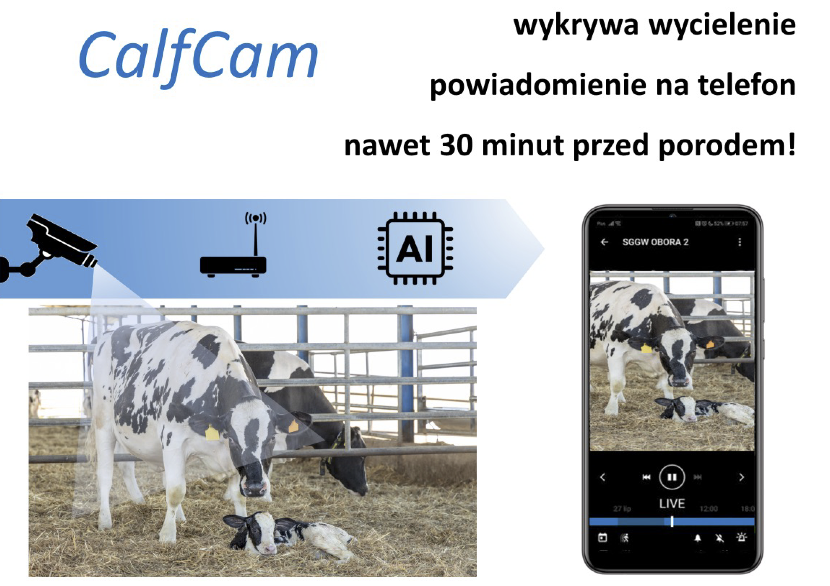 CalfCam