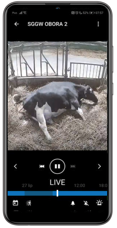 CalfCam Mobile