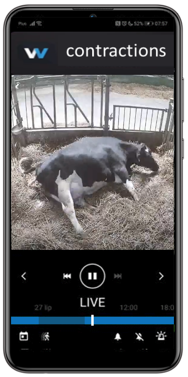 telefon ENG poród
